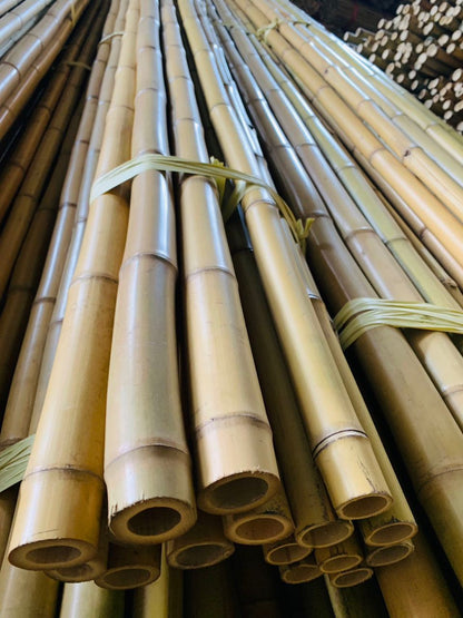 Bamboo Poles