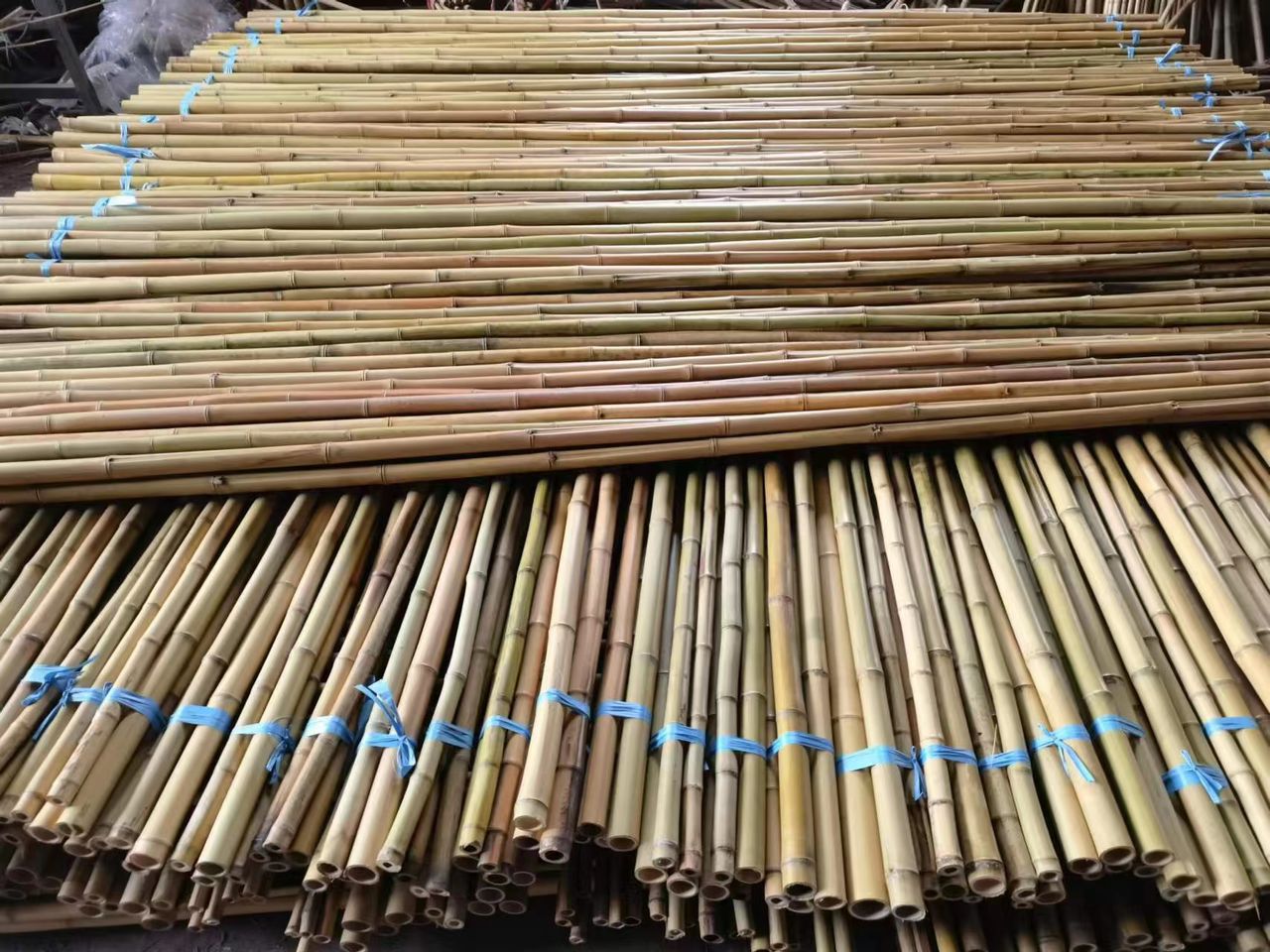 Bamboo Poles