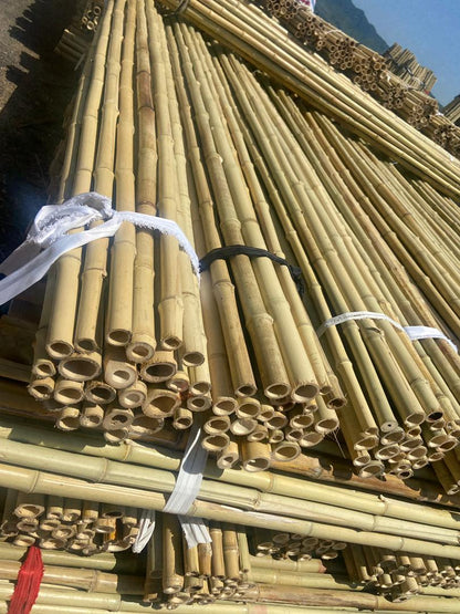 Bamboo Poles